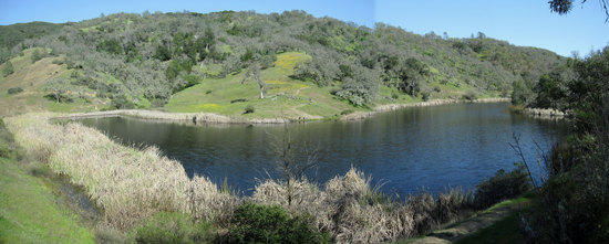 Kelly Lake
