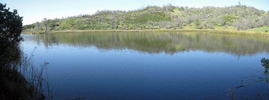 Coit Lake