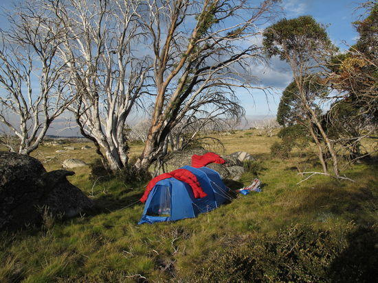Camp at Jagungal Saddle 0301