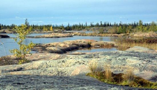 NWT land