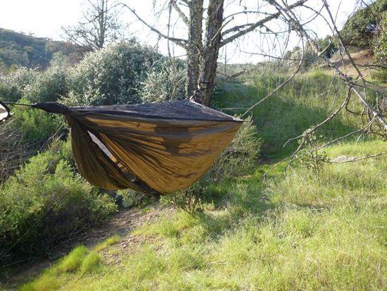 Hammock