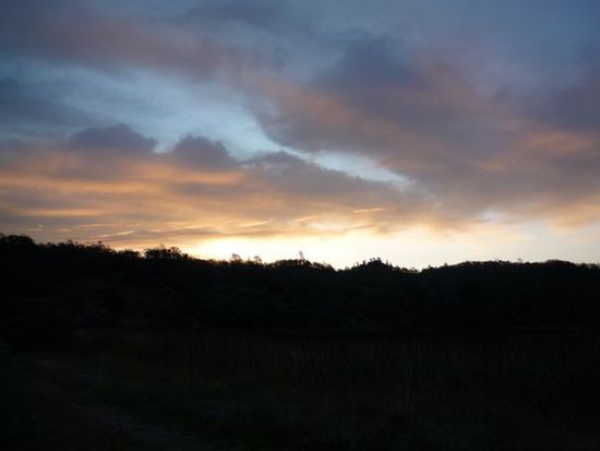 Sunrise