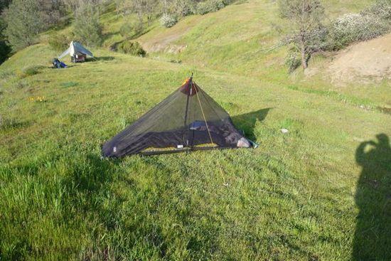 Richards bug net