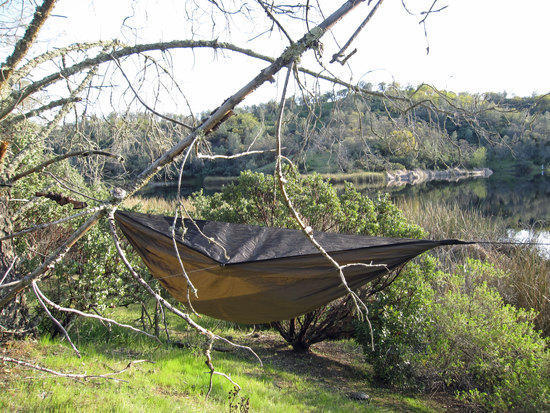 Cameron's Hammock 2