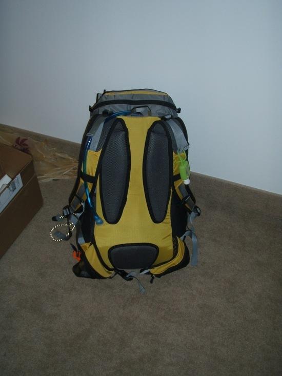 back