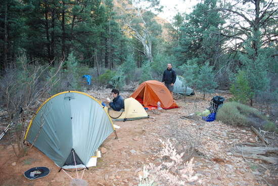 tarptents in the gammon ranges last week