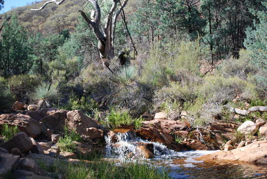 recent trip to the gammon ranges in south asutralia