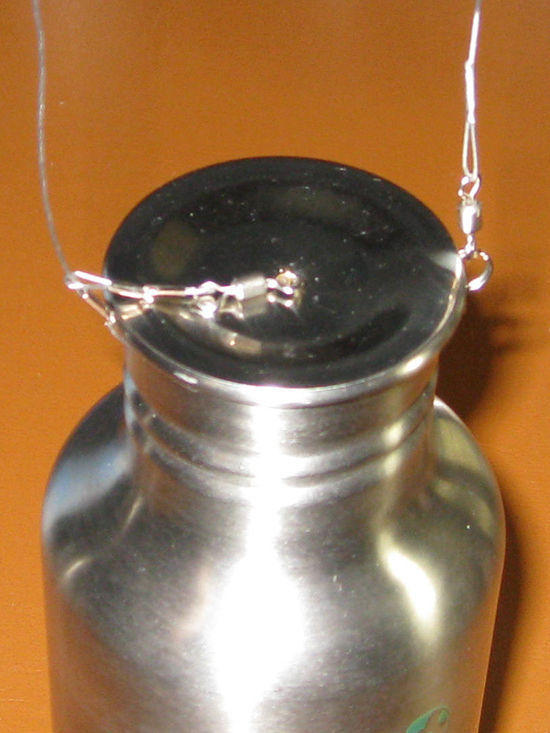 Stainless bottle with bail & lid