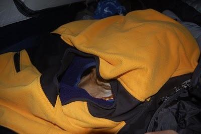 Indy Sleep