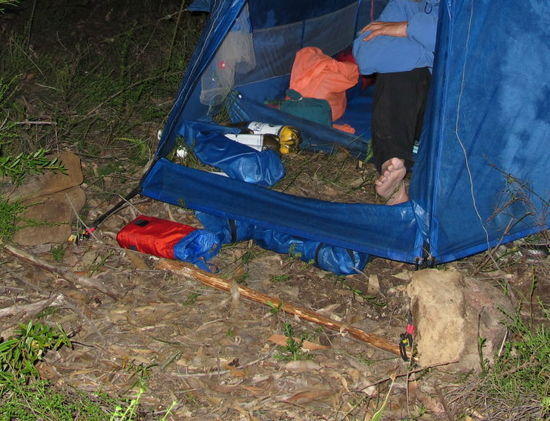 Stake and rocks for tent 0369