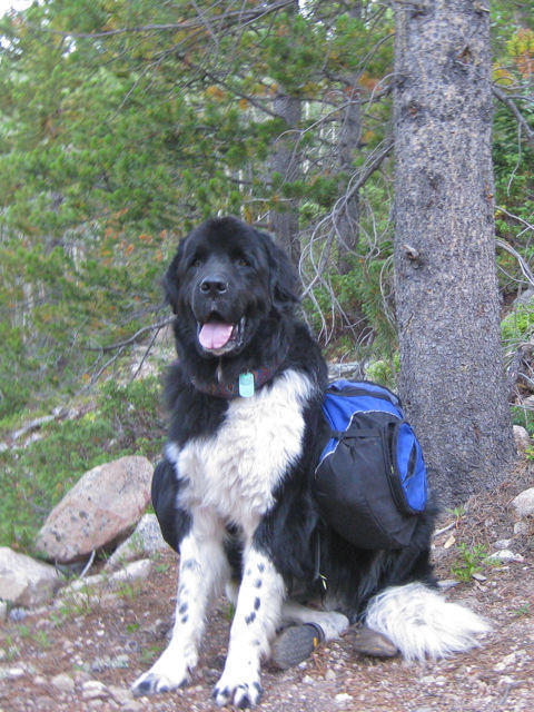 Got my pack on, let's go hiking!