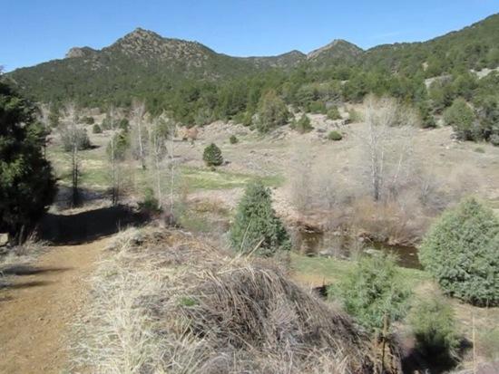 Looking upstream from the trailhead