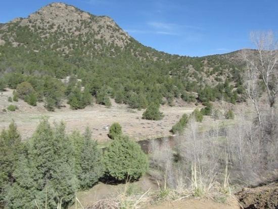 Looking downstream
