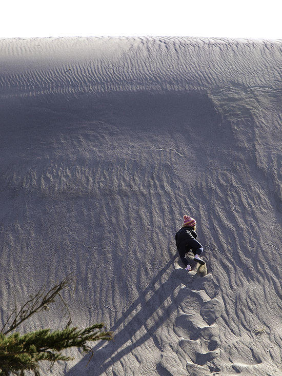 Dune critter.