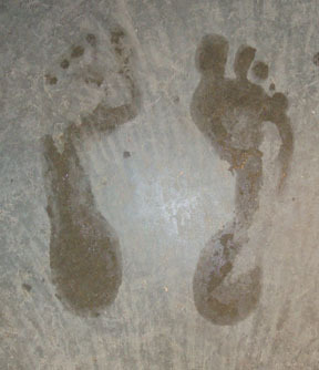 Feet