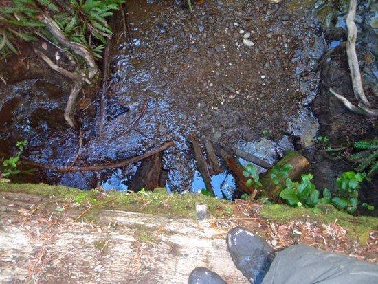 A long way down to the mud!