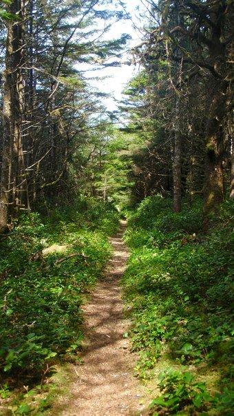 Singletrack