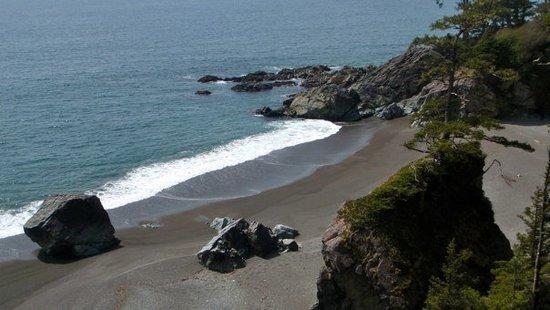 Sunny beach view