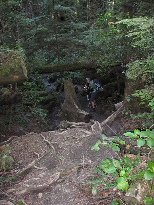 More technical trail
