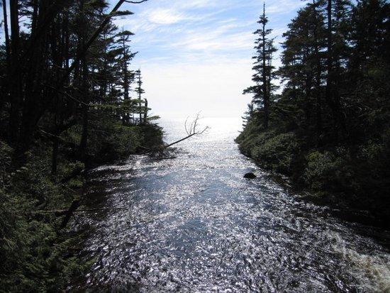 Very cool- This creek fed directly into the ocean.