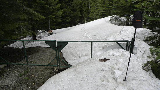June 1 Sierra snow at 6k ft