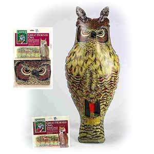 Owl INflate