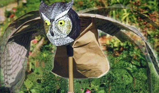 art owl