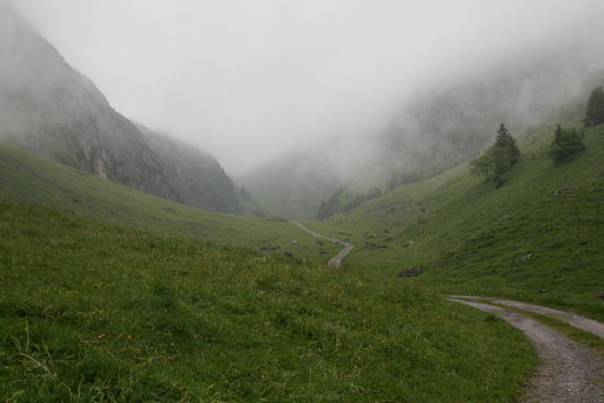 trail