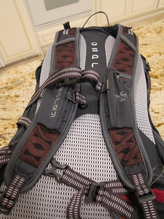 Shoulder Straps