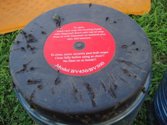 Chewed Vault