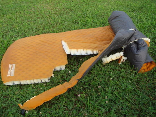 Prolite 4 Chewed