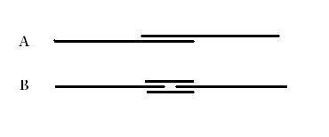 seam