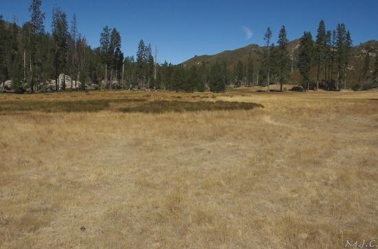 Pine Valley