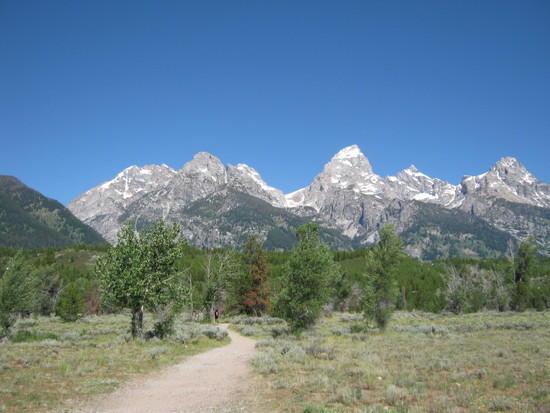 View Up the Trail