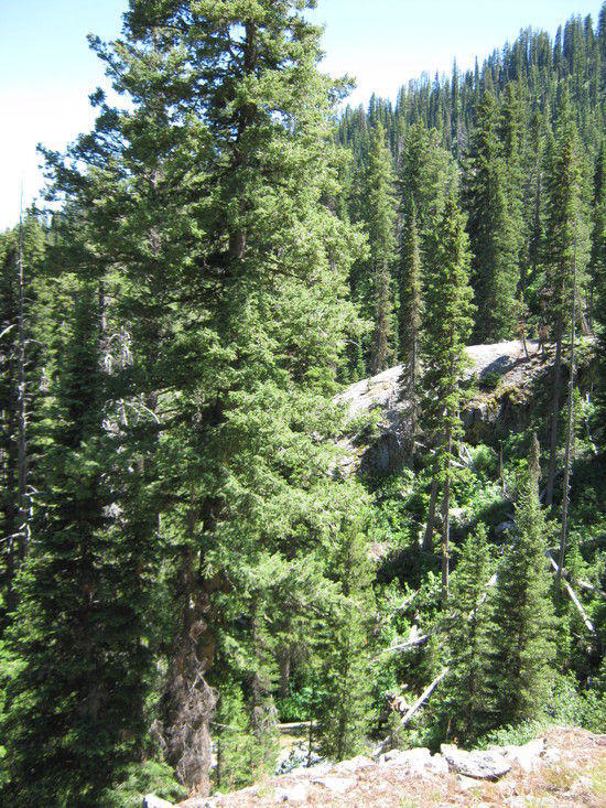 View from rock 2