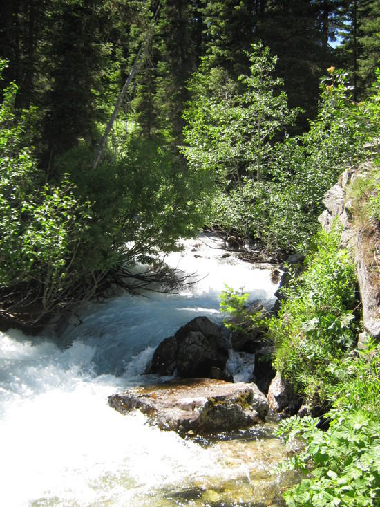 Downstream