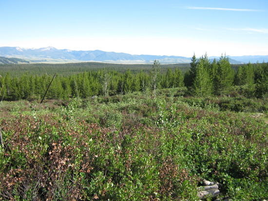 View from Beaver Creek