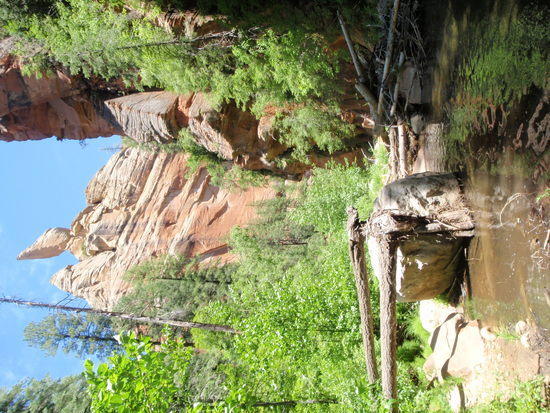 Obstacles along the way at WFOC