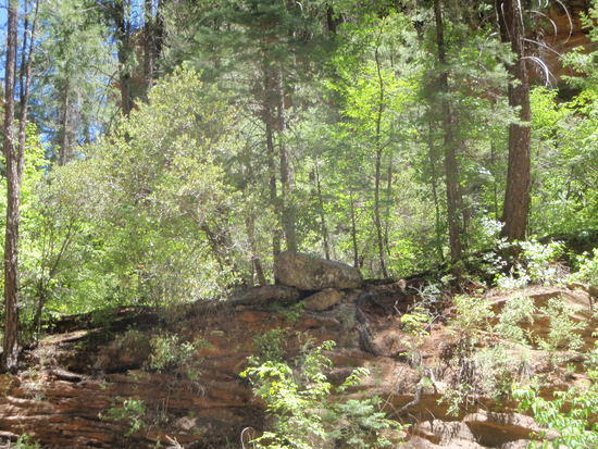 Ledge camp spot above the creek