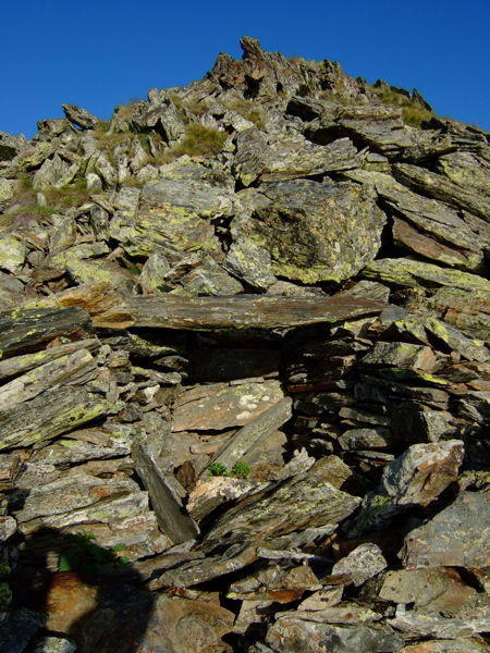 shepherd's hut