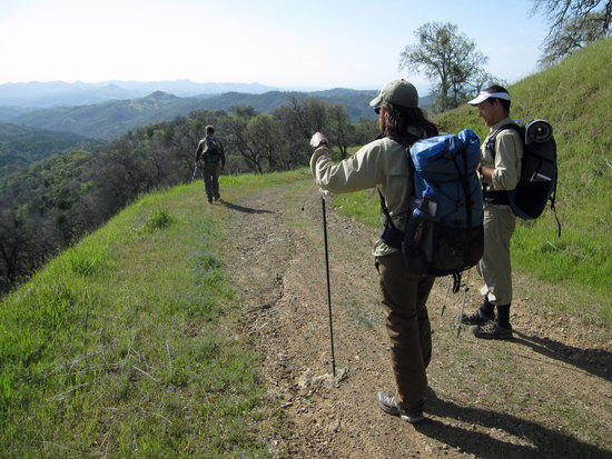 Moving Along the Fire Road