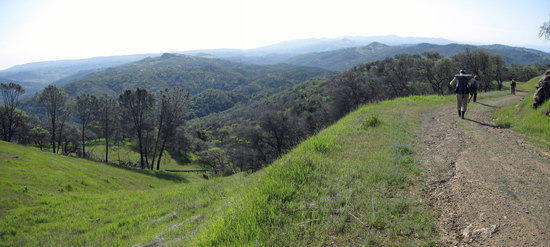View from the Road 1