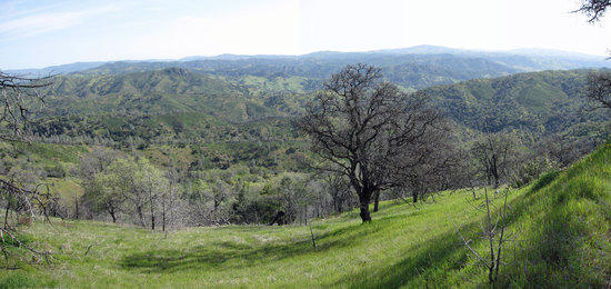 View From the Road 2