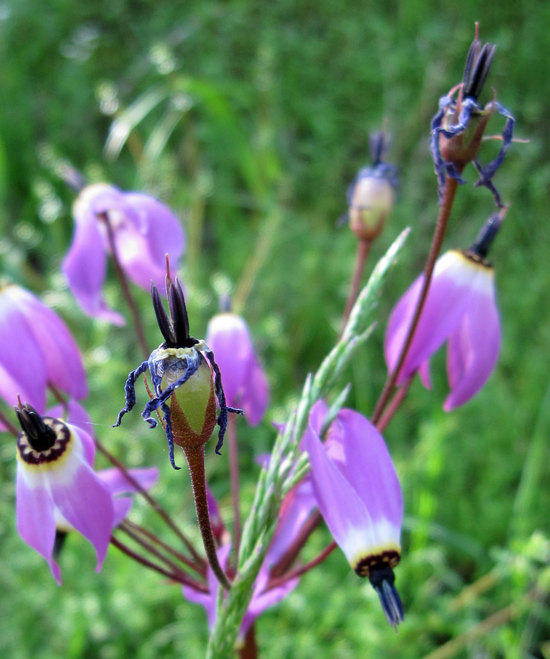 Colors Along the Trail 2