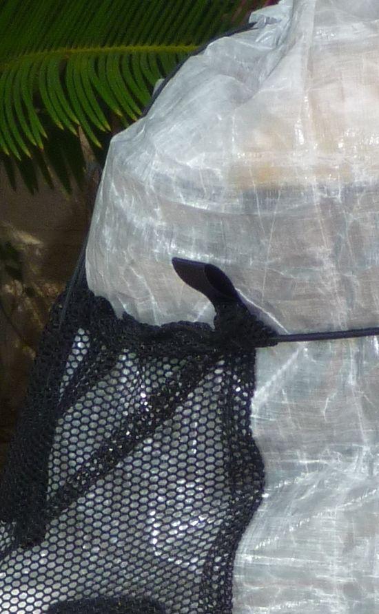 J3 right closeup