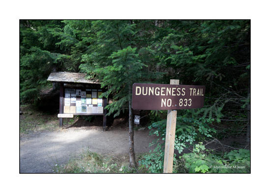 Dungeness Creek Trailhead