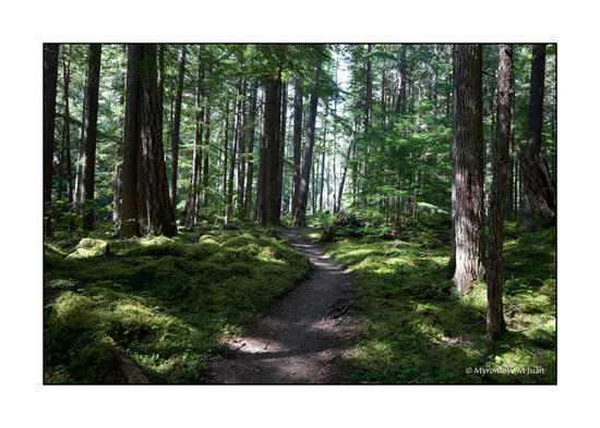 First Mile of Trail