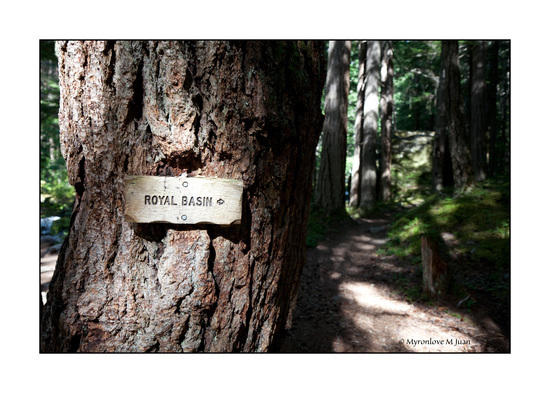 Junction to Royal Basin