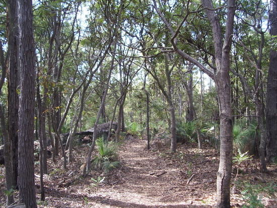 Start of the track