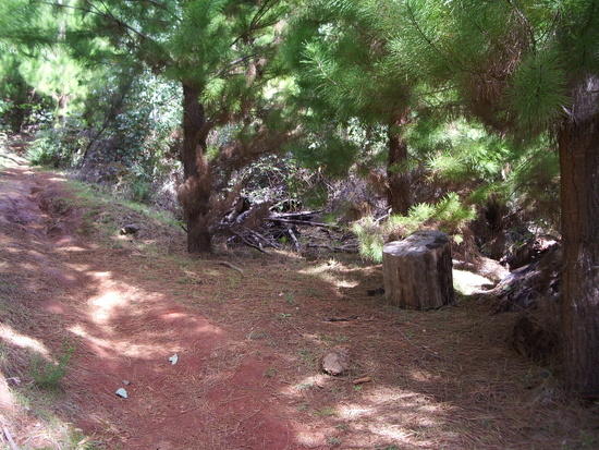 Looks like a nice place for a quick rest